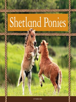 cover image of Shetland Ponies